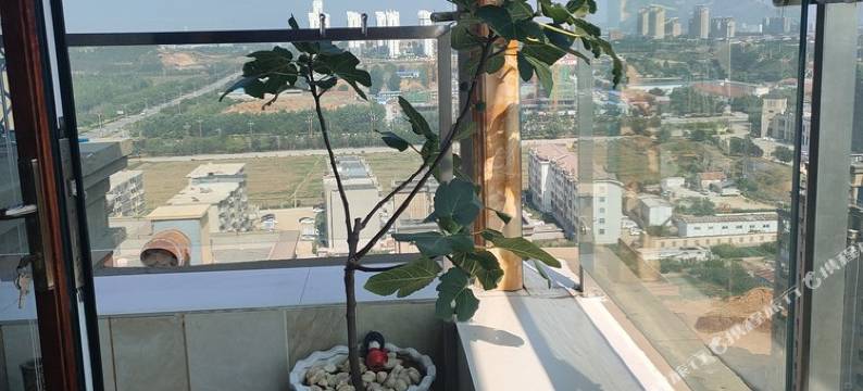 烟台大溪地养马岛轰趴 烧烤赶海公寓图片