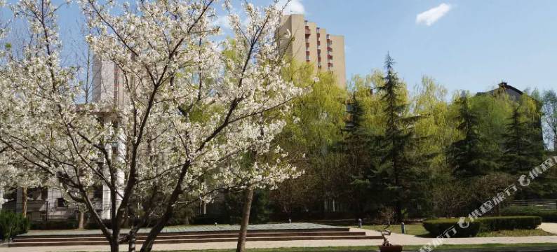 北京雅斯茗海晟服务公寓图片