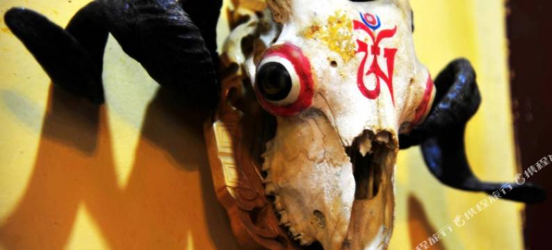 拉萨龙川青年旅舍花园客栈图片