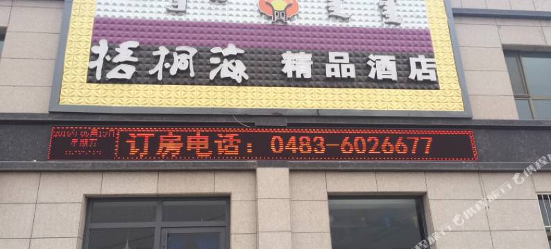 阿拉善右旗梧桐海精品酒店图片