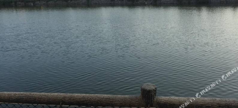 金门叮叮单车民宿图片