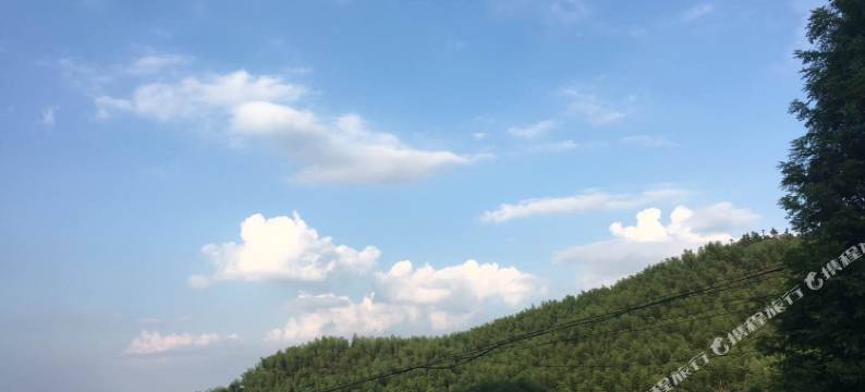 莫干山栖梦林民宿(仙潭村景区店)图片