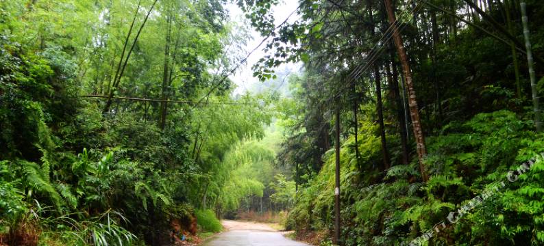 南昆山小桥湾山庄图片