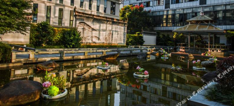 黄山天都国际饭店图片