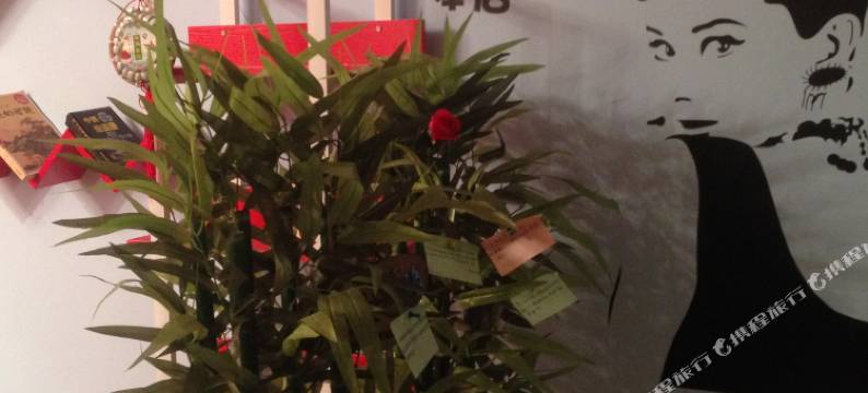 不穿秋裤的艺术青年旅舍(重庆解放碑中心店)图片