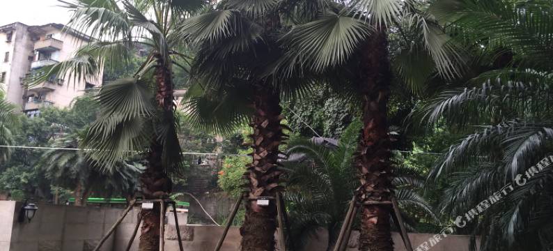 重庆慕青酒店图片