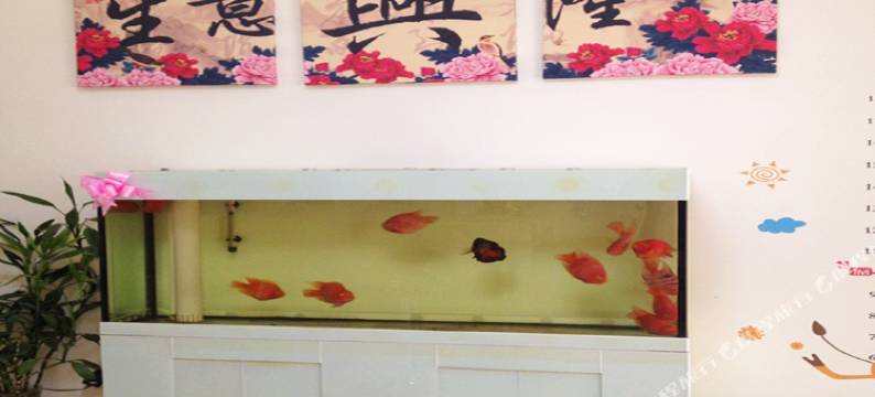 北海80别墅家庭旅馆图片