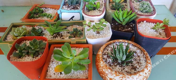 涠洲岛万卿酒店图片