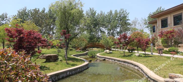 港泊鹿缘酒店图片