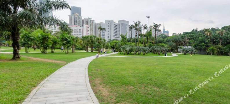 深圳龙鑫酒店图片