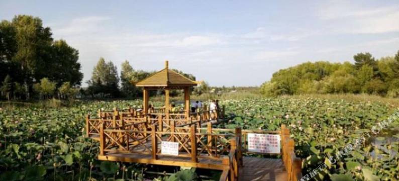 五大连池天缘度假村图片