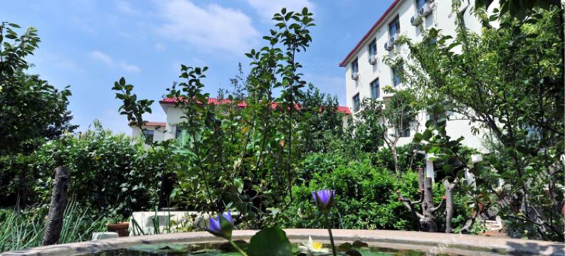 阳光酒店(沧州朝阳路第十中学店)图片