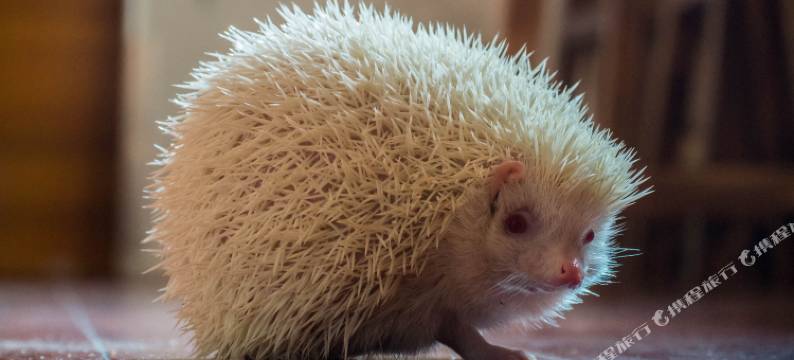 长沙他方国际青年旅舍图片