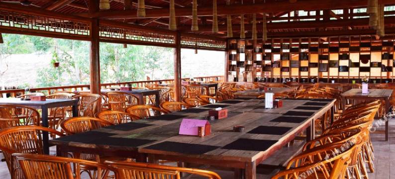 骆越田园假日酒店(大新安平仙河店)图片