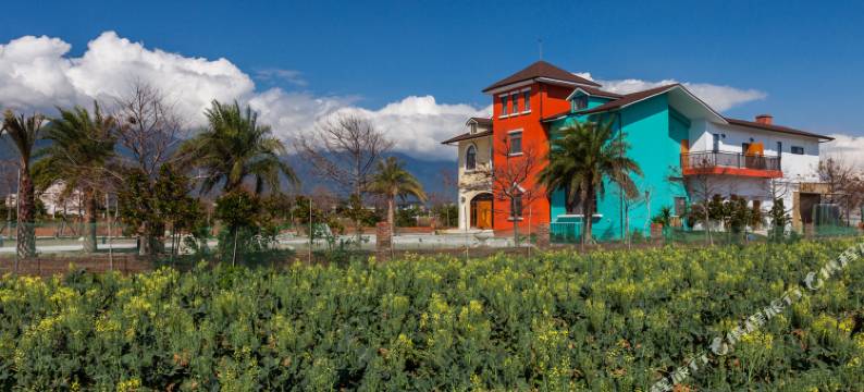 花莲森林中民宿图片