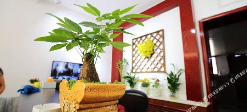 海西大柴旦盐兴宾馆图片