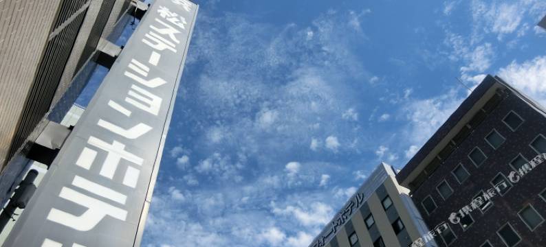 滨松车站酒店(Hamamatsu Station Hotel)图片