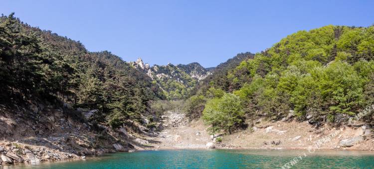 沂蒙宿集·山舍(蒙山人家景区店)图片