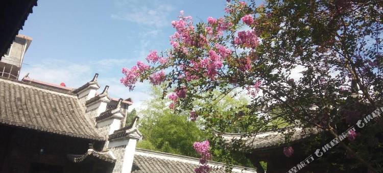 利人堂·徽派隐世庭院美术馆民宿(三宝国际陶艺村店)图片