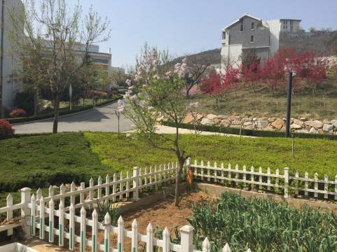 南山公寓(龙口店)