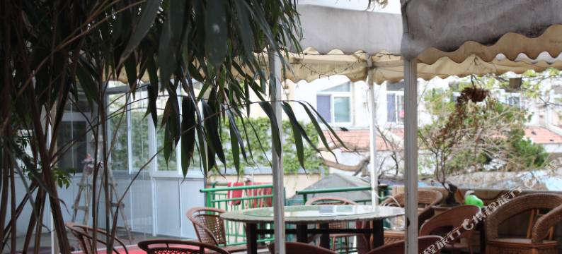 青岛九号丙青年旅舍图片