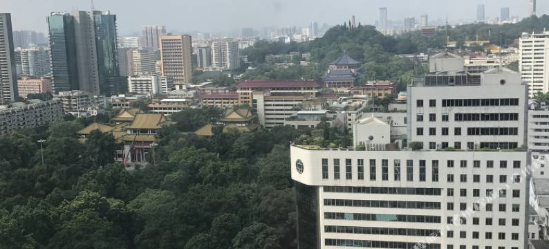 青柠檬树国际公寓(广州市北京路捷登都会店)图片