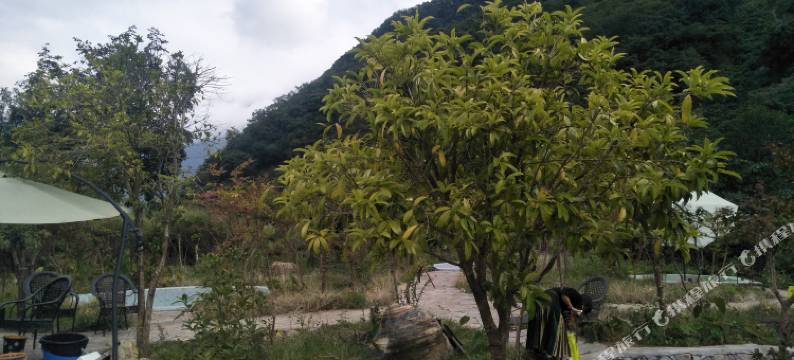 海螺沟古泉温泉酒店图片