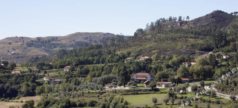 拉波兹恩霍金塔酒店(Quinta do Rapozinho)图片
