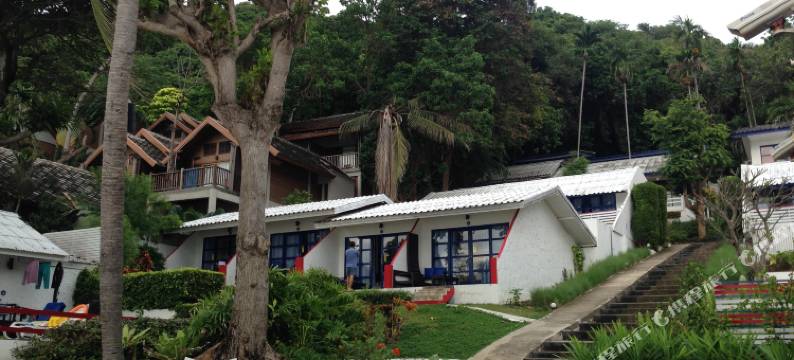 喀拉拉椰子度假村(Kerala Coco Resort)图片