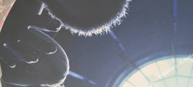 崇阳锦泰大酒店图片