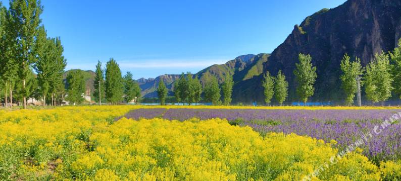 野三坡慢时光酒店图片