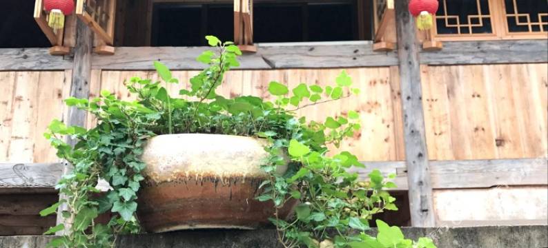 景宁青田山居图片