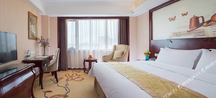 维也纳国际酒店(茂名电白店)图片