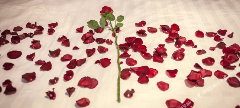 月满西塘客栈图片