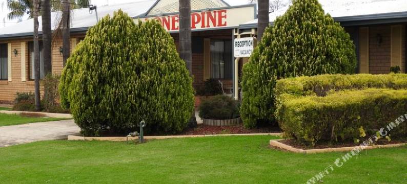 龙柏汽车旅馆(Lone Pine Motel)图片