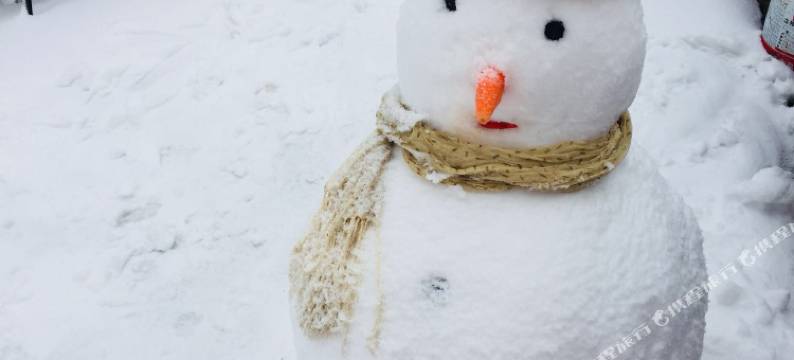 莫干九墅民宿图片