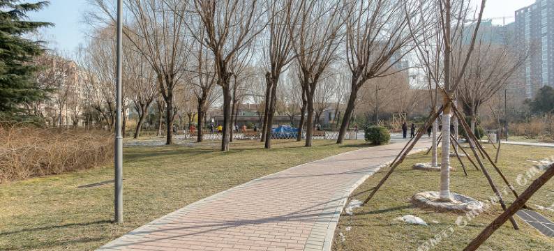 普罗旺斯小镇郑文改公寓(天明路分店)图片