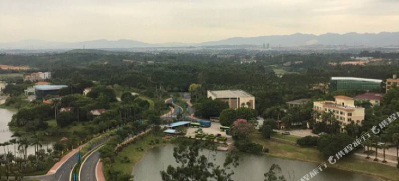 清远雨花儿开特色民宿图片