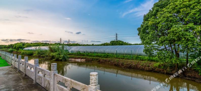 上海刘家民宿图片