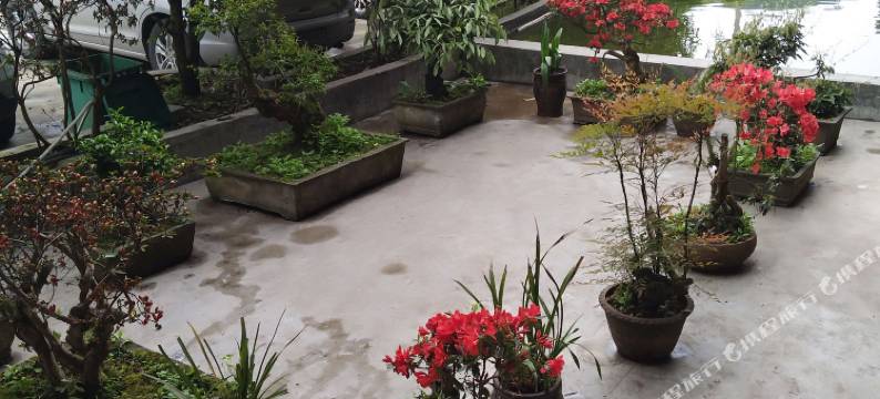 大方好兴情酒店图片