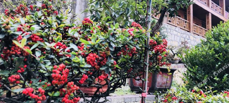 安顺恒沣民宿图片