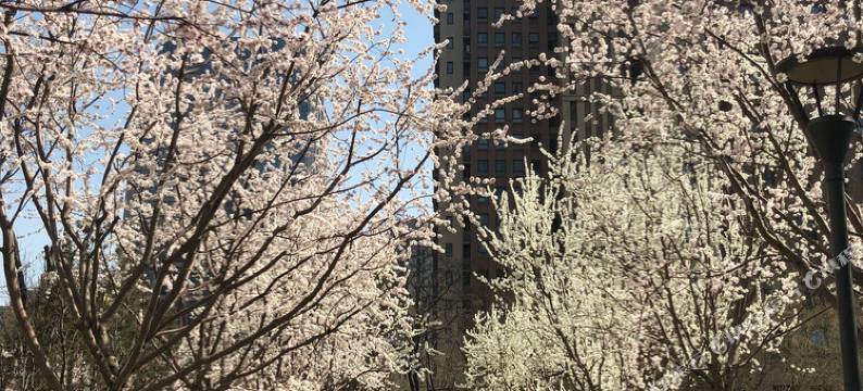 北京雷拉公寓图片