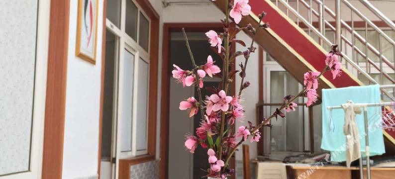 日照宗锋渔家图片