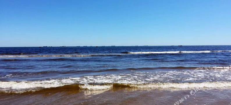 秦皇岛青舍公寓图片