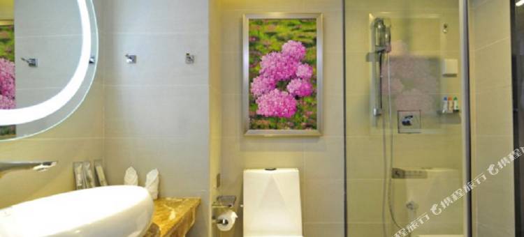 麗枫酒店(贵阳花果园财富广场店)图片