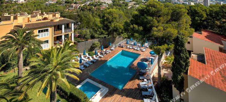 博南扎公园酒店-奥利维亚精选酒店(Bonanza Park Hotel by Olivia Hotels Collection)图片