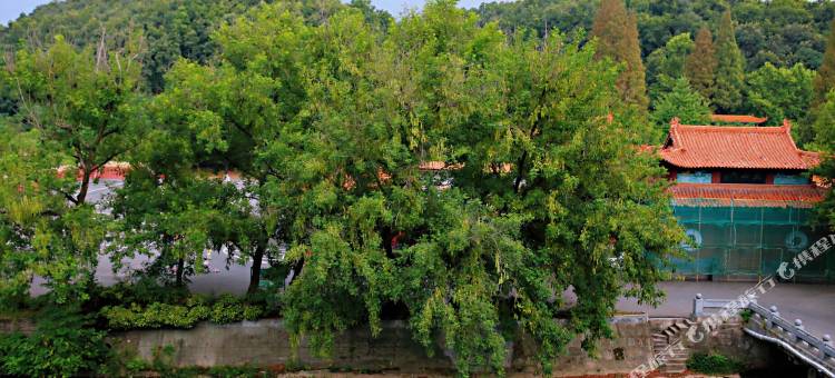 随县瞳然酒店图片