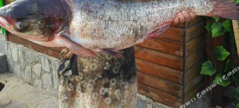 密云黑龙潭水岸观光园农家院图片