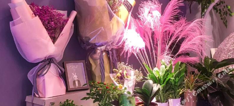 海东曹家堡空港加州旅馆图片