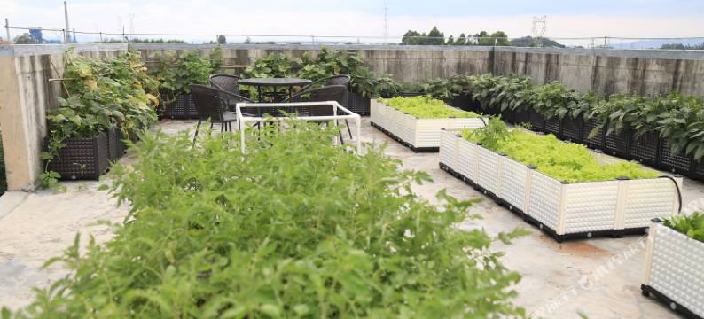 清远红妹客栈图片